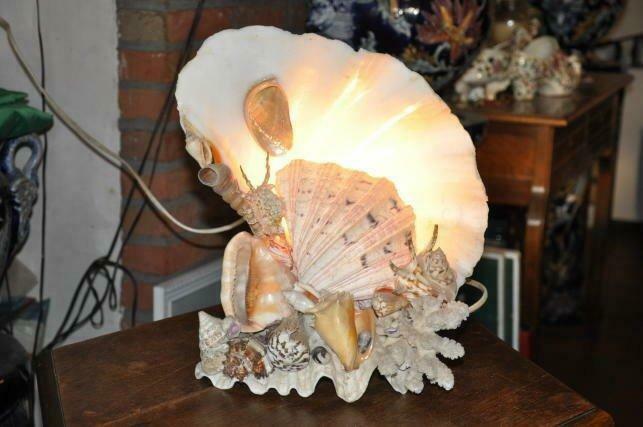 § lampe coquillage, Ophalen of Verzenden