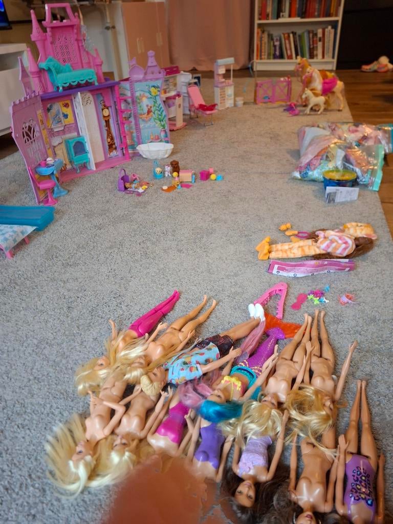 Groot lot Barbie, Ophalen