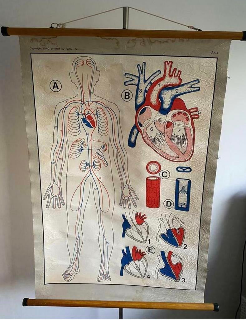 schoolplaat "het hart" op linnen, Antiek en Kunst, Ophalen of Verzenden