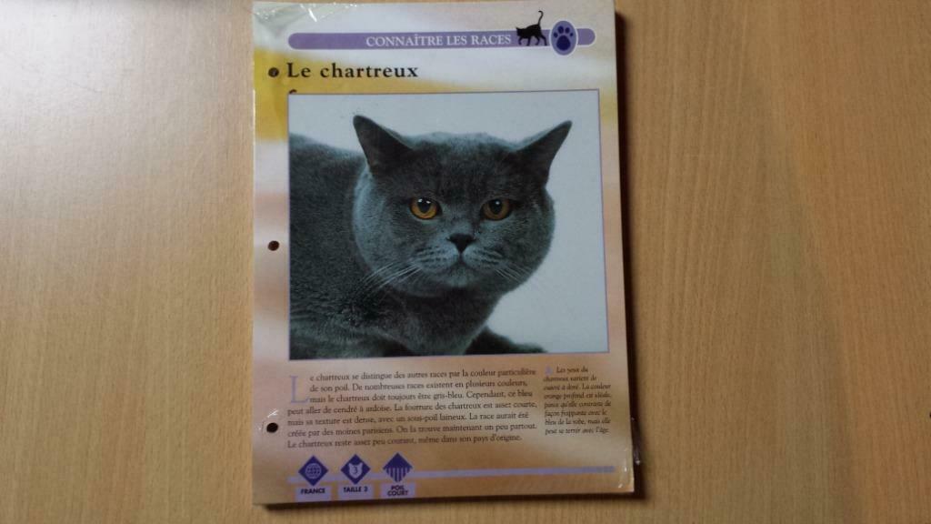 Passion des chats - 60 Maxi-Fiches - Editions Atlas, Enlèvement ou Envoi, Neuf