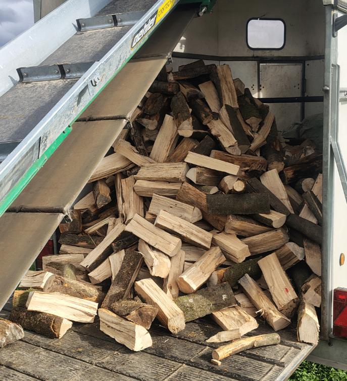 Droog brandhout beuk, Ophalen, Beukenhout