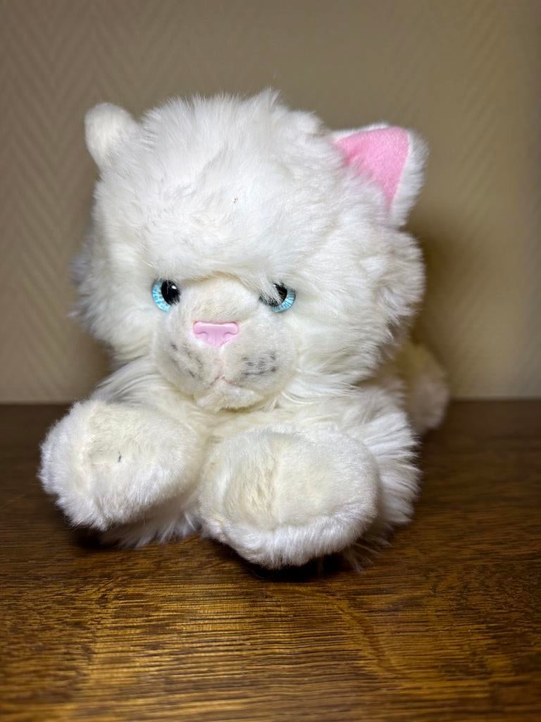 Knuffel witte kitten, Ophalen