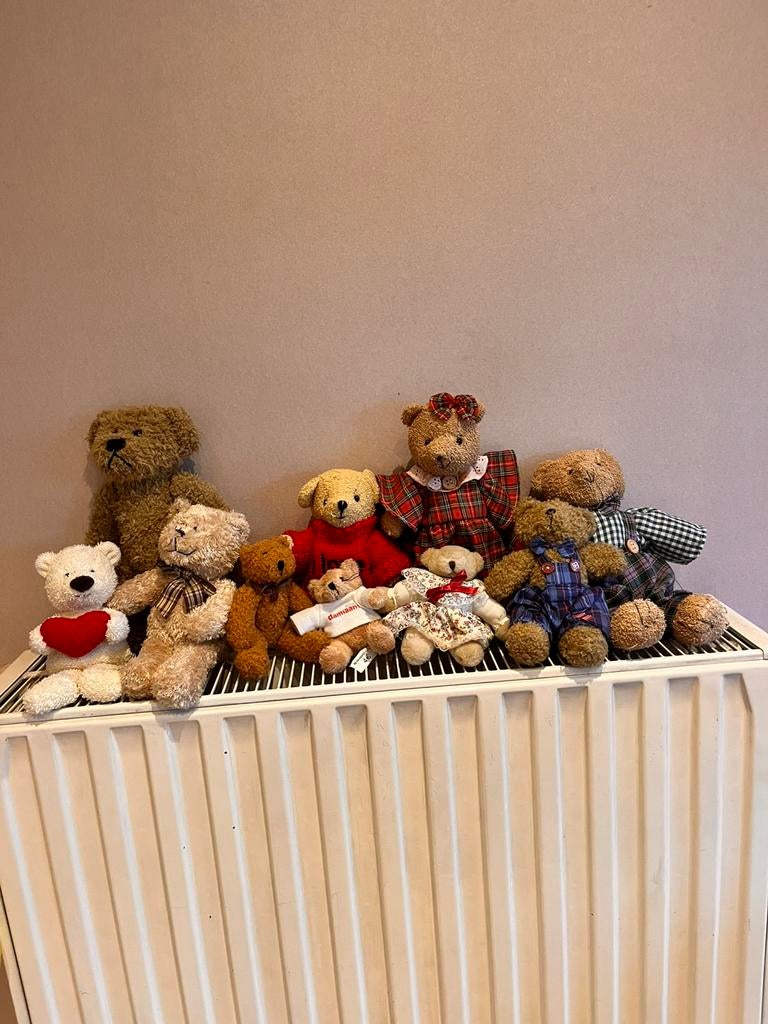 Ours 10 pièces, Enlèvement, Utilisé