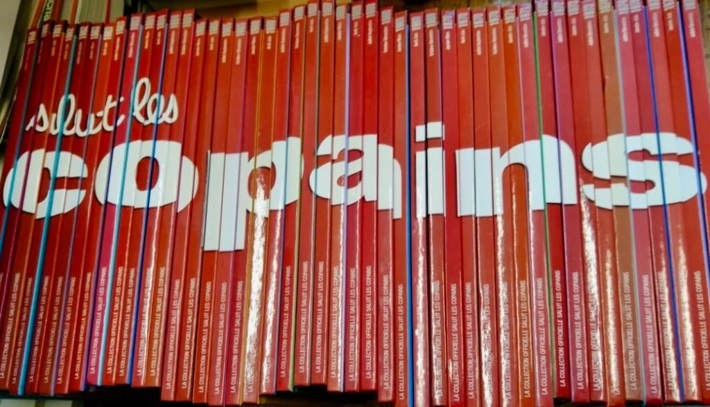 Hallo vrienden, boeken, cd's, Ophalen of Verzenden, Zo goed als nieuw