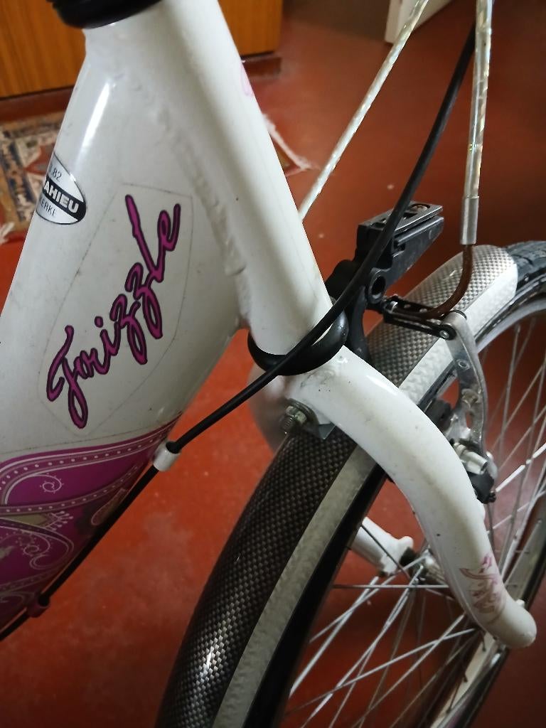 kinderfiets, Ophalen, Zo goed als nieuw, 20 inch of meer