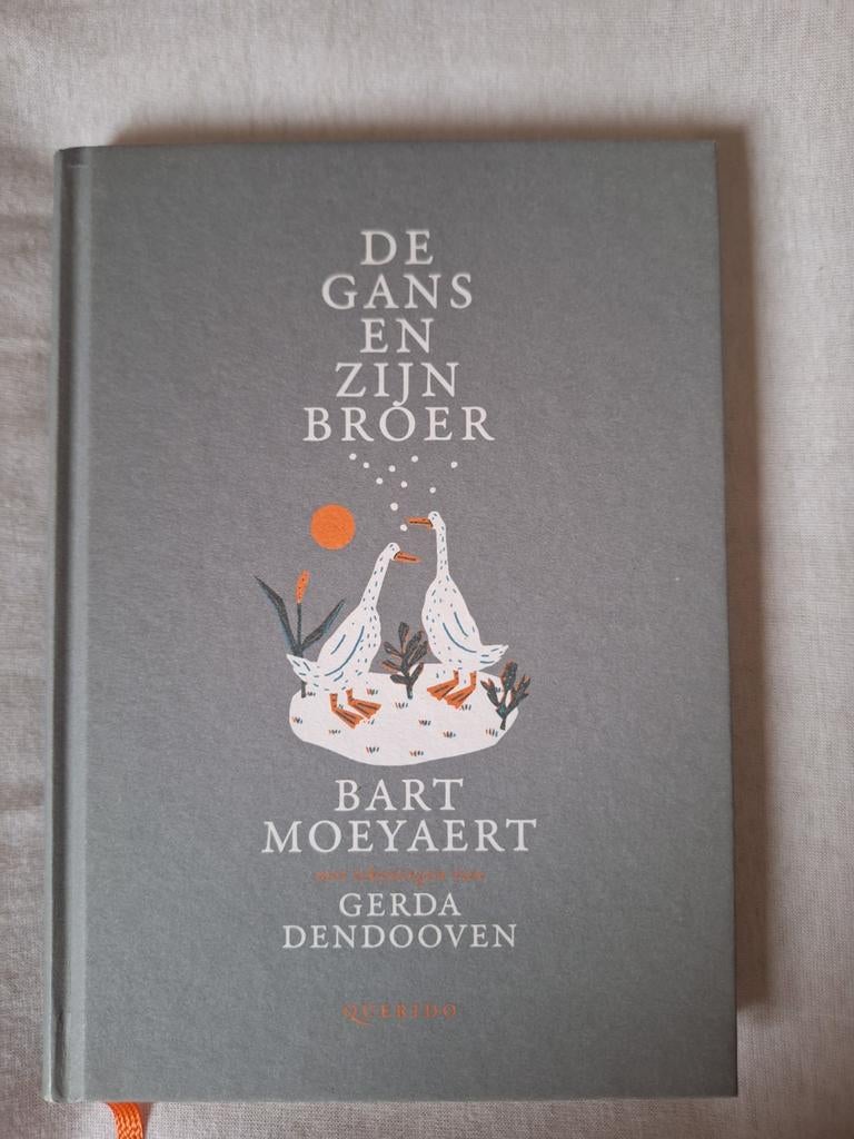 Bart Moeyaert - De gans en zijn broer, Neuf, Fiction, Enlèvement, Bart Moeyaert