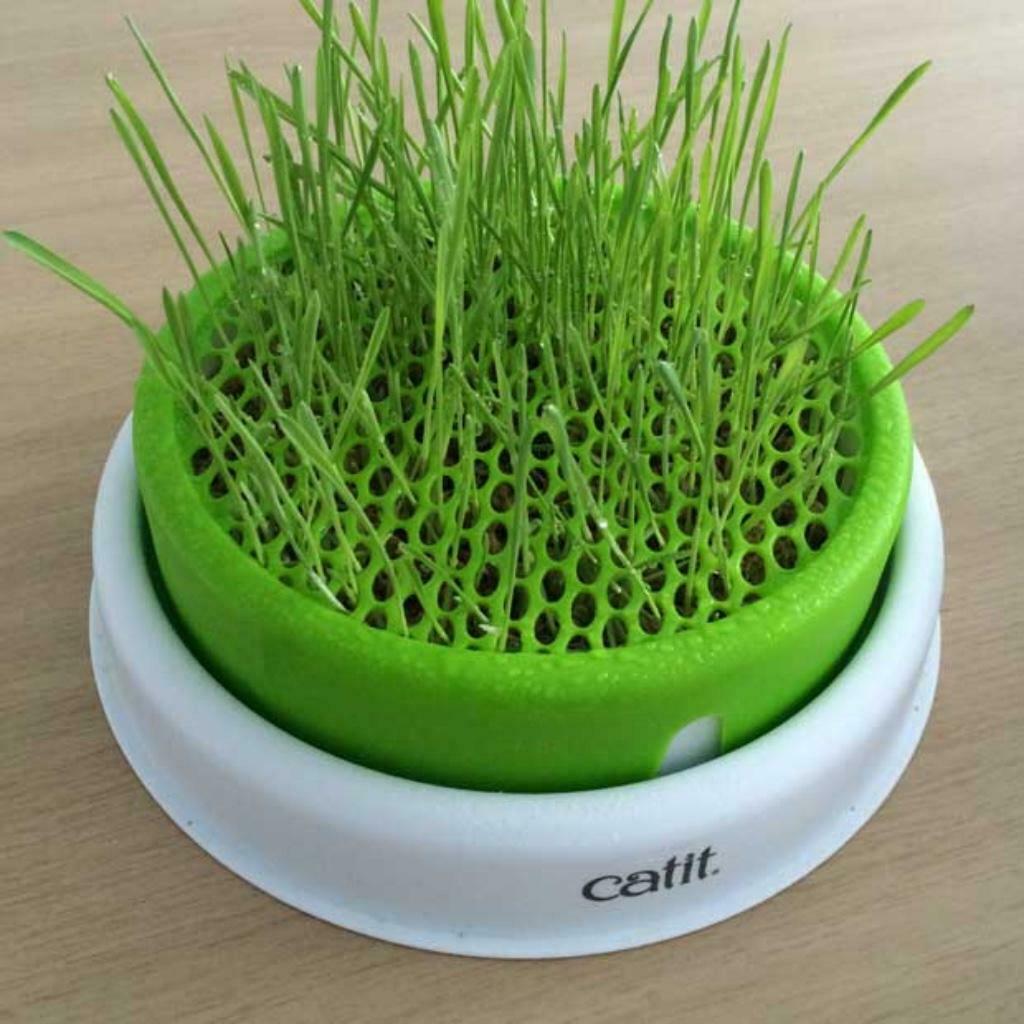 Catit Senses Grass Garden, Ophalen of Verzenden, Zo goed als nieuw