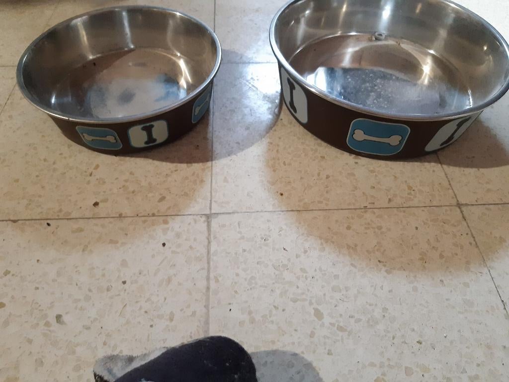 Drinkbak en speelgoed, Ophalen of Verzenden, Gebruikt