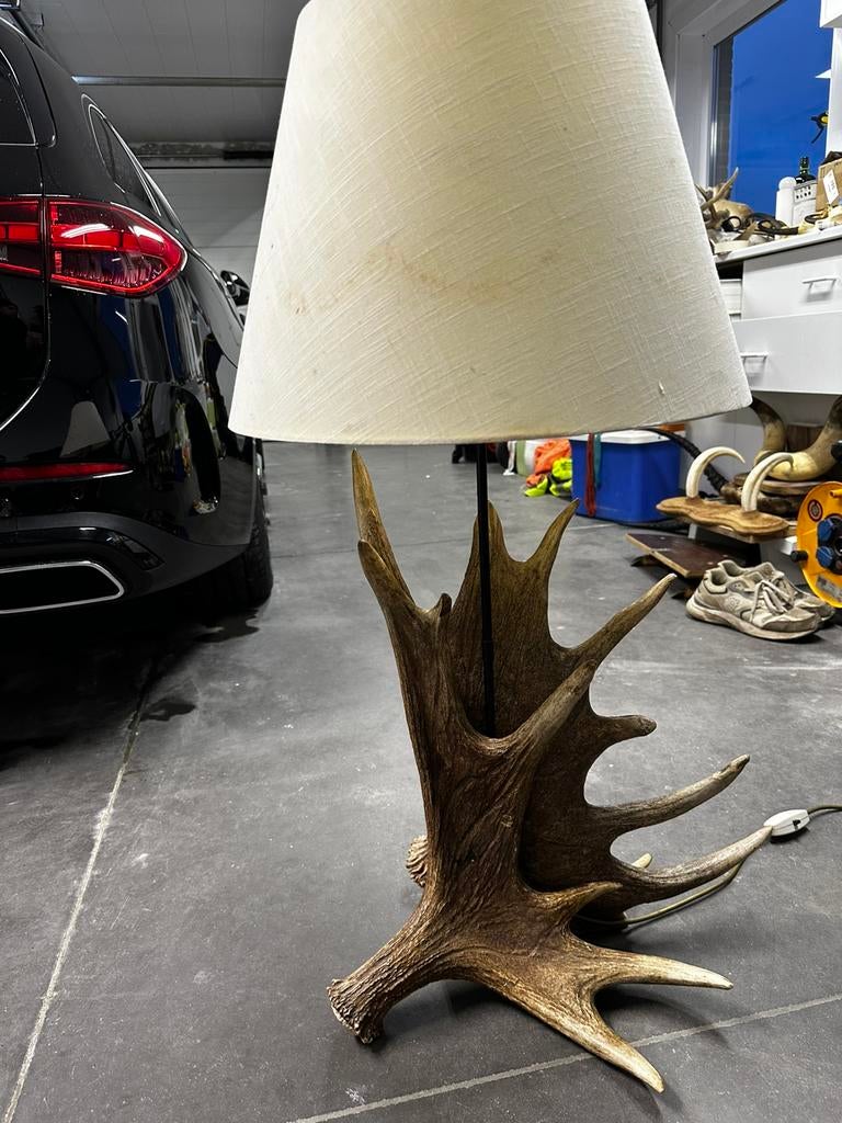 Eland gewei lamp, Enlèvement
