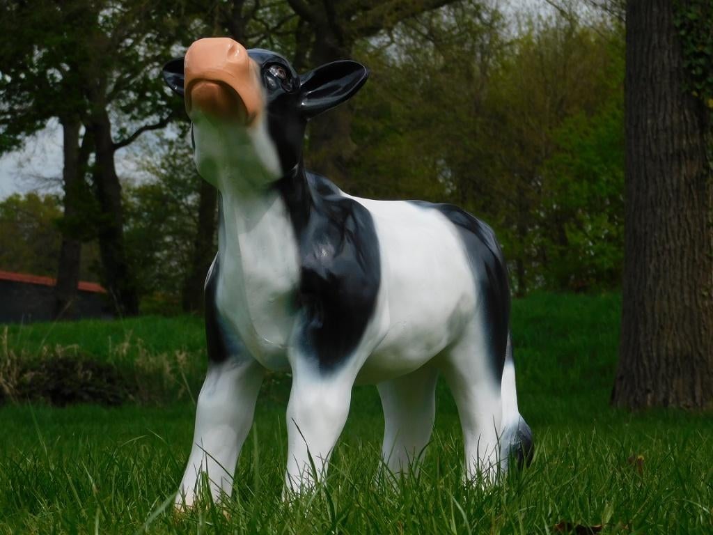 Beeld Koe - 70 cm - Polystone, Ophalen of Verzenden, Kunststof, Dierenbeeld