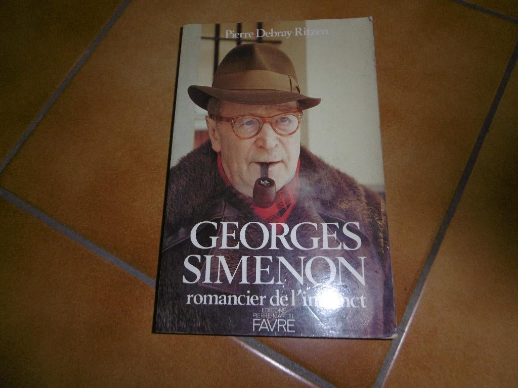 Georges Simenon, romancier de l'instinct, Livres, Enlèvement, Comme neuf