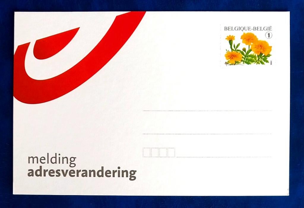 2008 Entier postal - Buzin Tagetes - Validité permanente, Envoi, Non oblitéré, Neuf