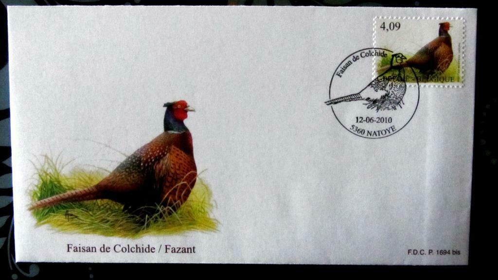 FIRST DAY COVER- VOGELS VAN BUZIN- DE FAZANT, Enlèvement ou Envoi, Affranchi, Animal et Nature