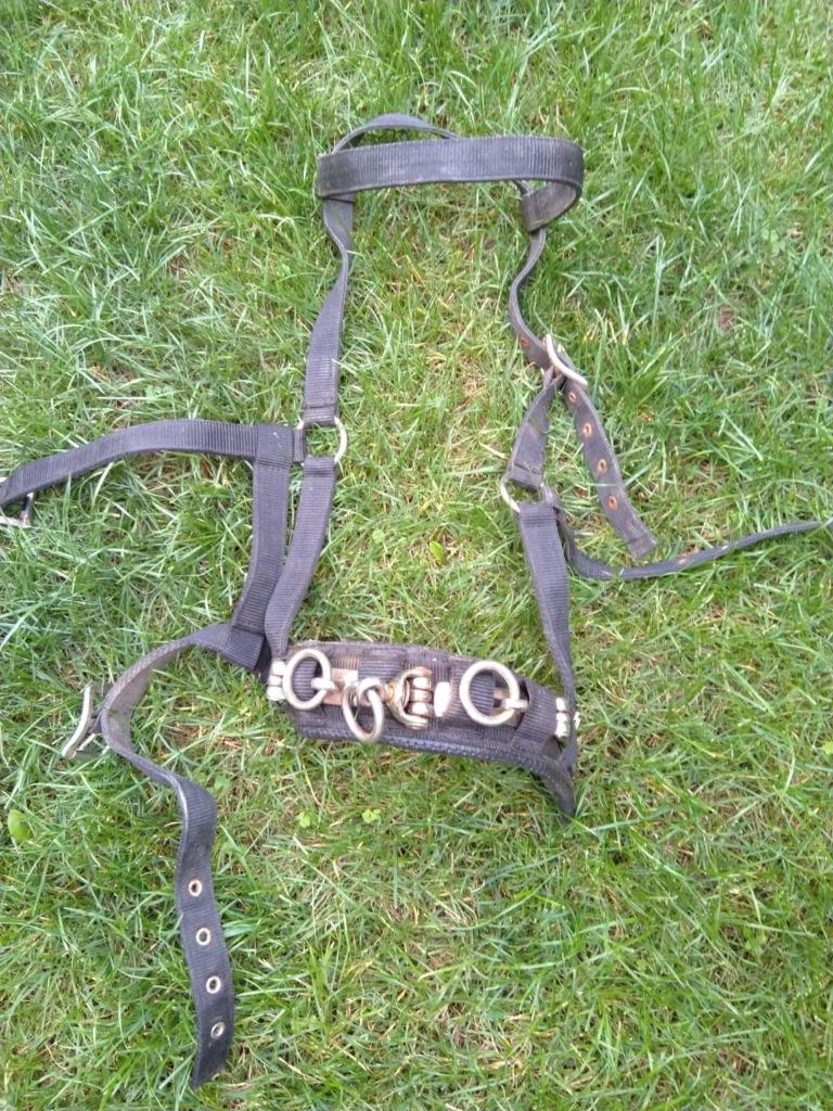 Caveçon en cuir pour cheval taille full, Animaux & Accessoires, Enlèvement ou Envoi, Utilisé