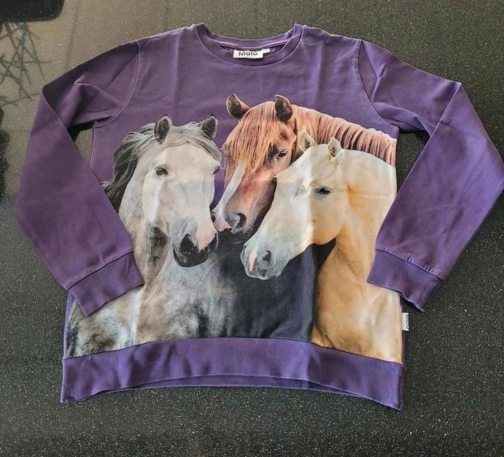 Molo trui met paarden mt 152, Ophalen, Zo goed als nieuw, Shirt of Longsleeve, Molo