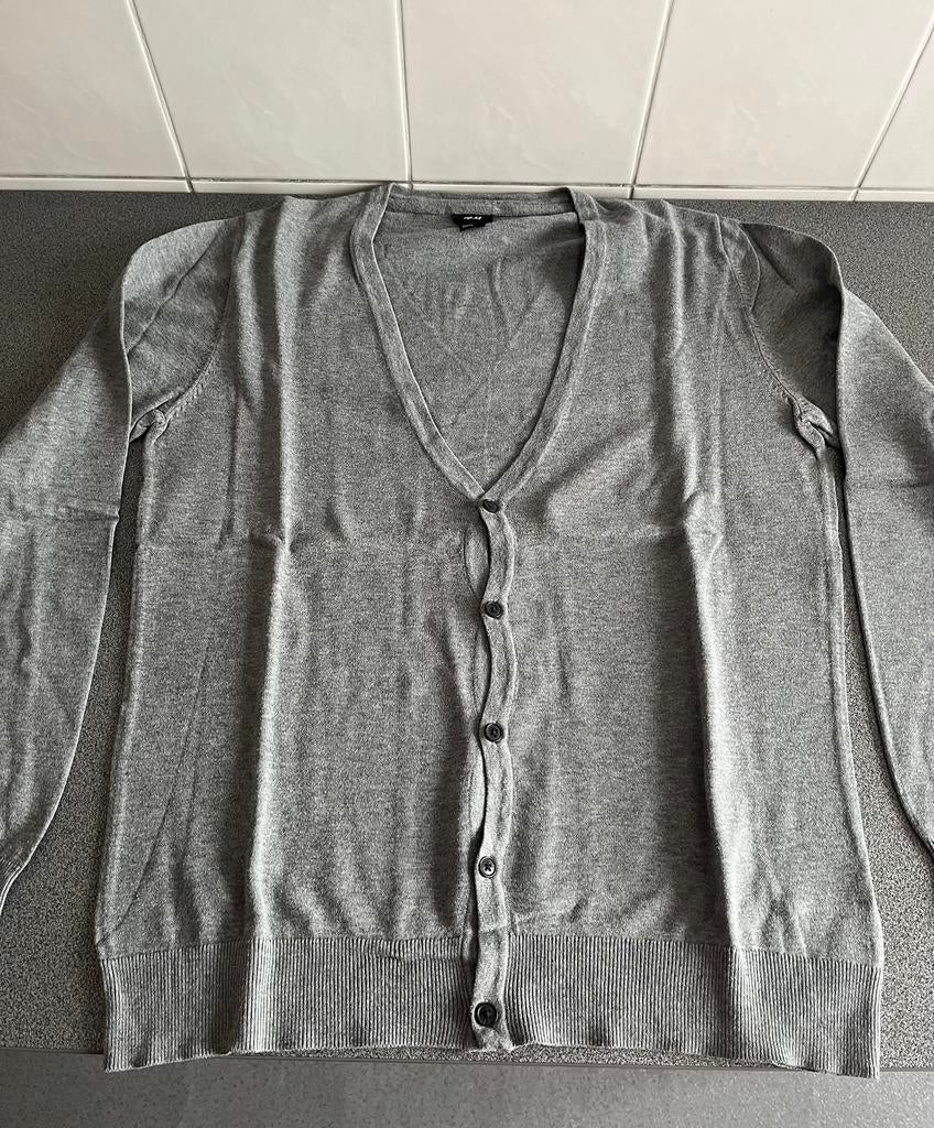 Grijze vest H&M - maat L, Vêtements | Hommes, Pulls & Vestes, Gris, Enlèvement ou Envoi, Taille 52/54 (L), Porté