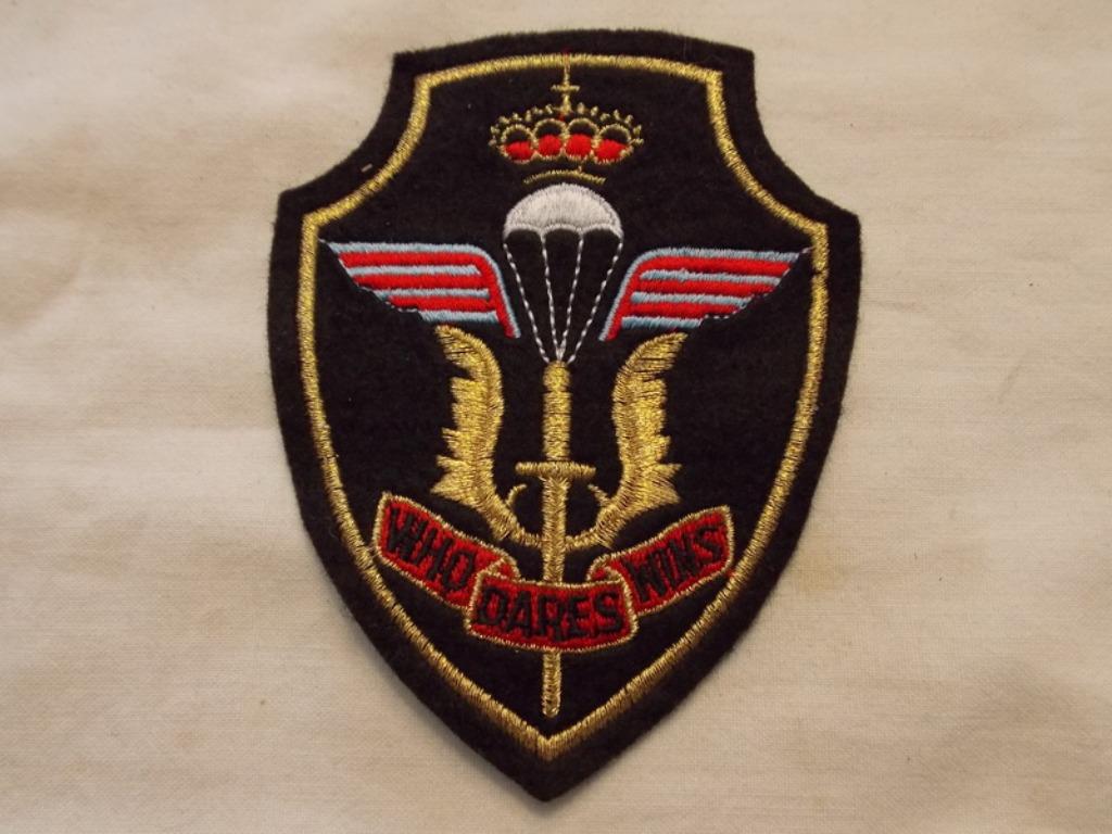 Patch Para (G), Enlèvement ou Envoi, Armée de terre, Emblème ou Badge