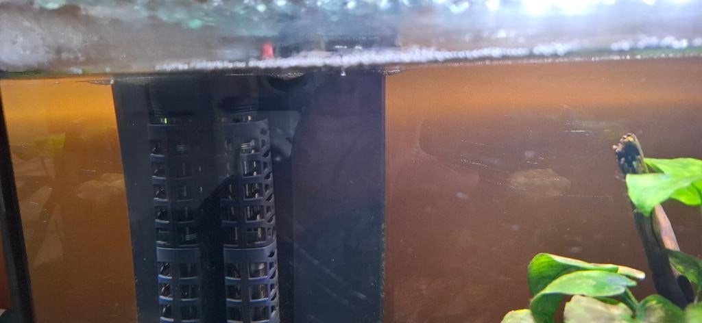 Aquarium, Ophalen, Zo goed als nieuw, Gevuld zoetwateraquarium
