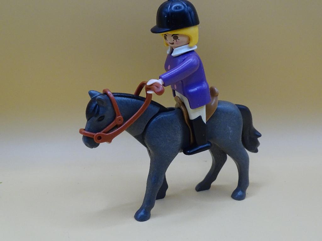 Playmobil amazone te paard, Enlèvement ou Envoi, Utilisé