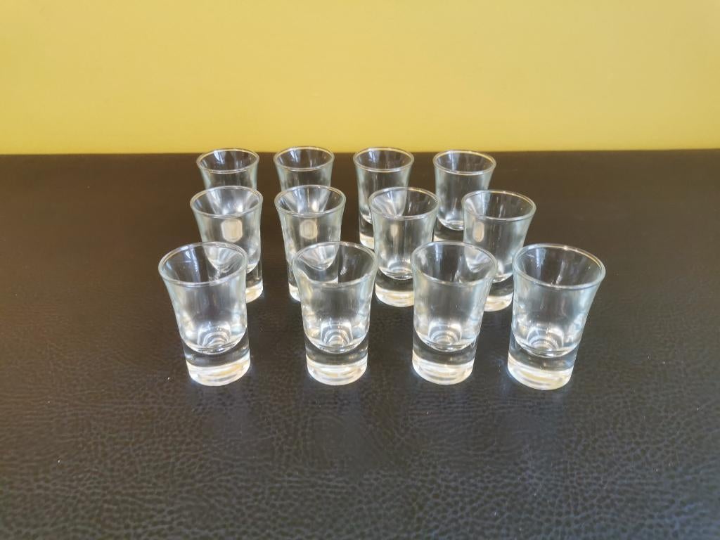 Shotglaasjes (12 stuks), Ophalen of Verzenden, Zo goed als nieuw, Borrel- of Shotglas