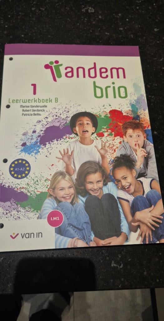 Tandem Brio 1 schoolboek, Boeken, Ophalen