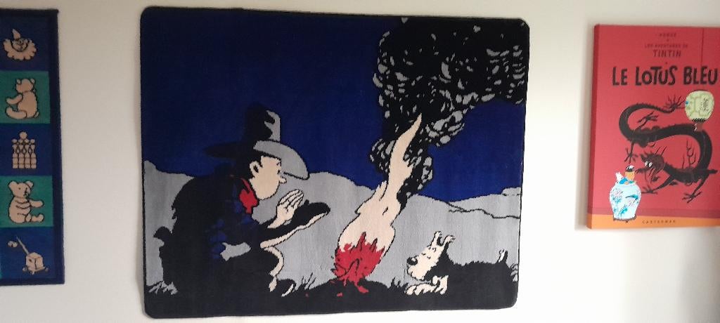 TAPIJT KUIFJE IN AMERIKA HET KAMPVUURMERK AXIS, Ophalen, Gebruikt