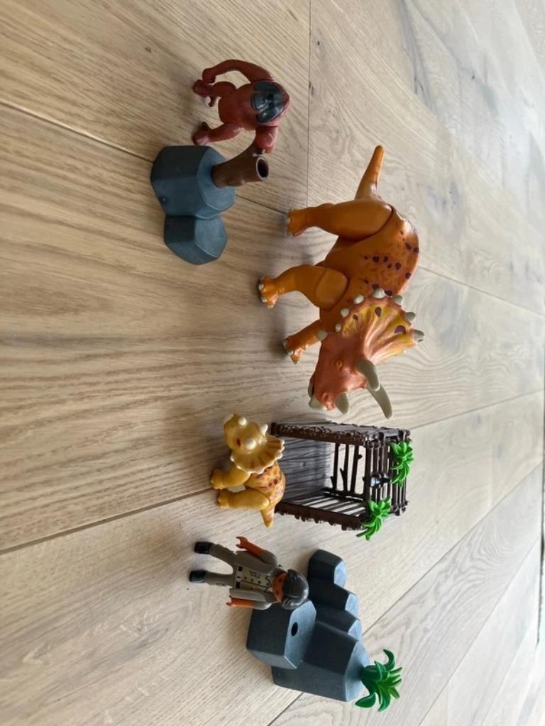 Playmobil dino’s, aapje, mannetje en toebehoren, Ophalen, Zo goed als nieuw, Los Playmobil