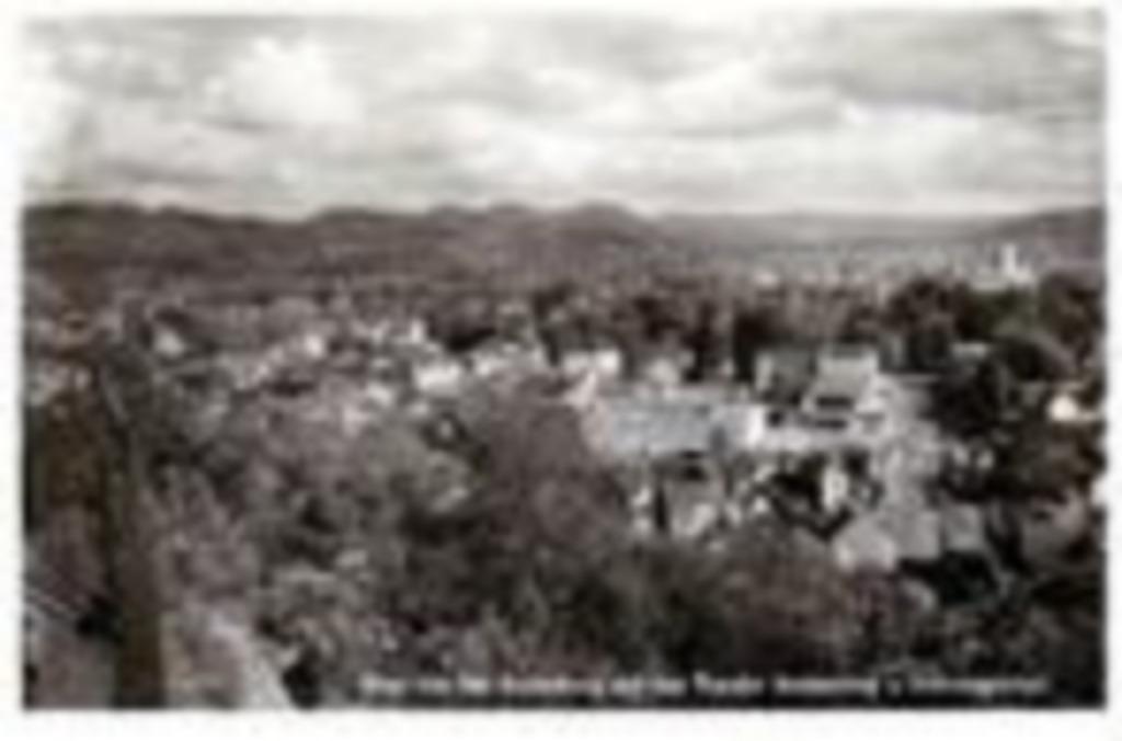Postkaarten Bad Godesberg., Ophalen of Verzenden, 1940 tot 1960, Ongelopen, Duitsland