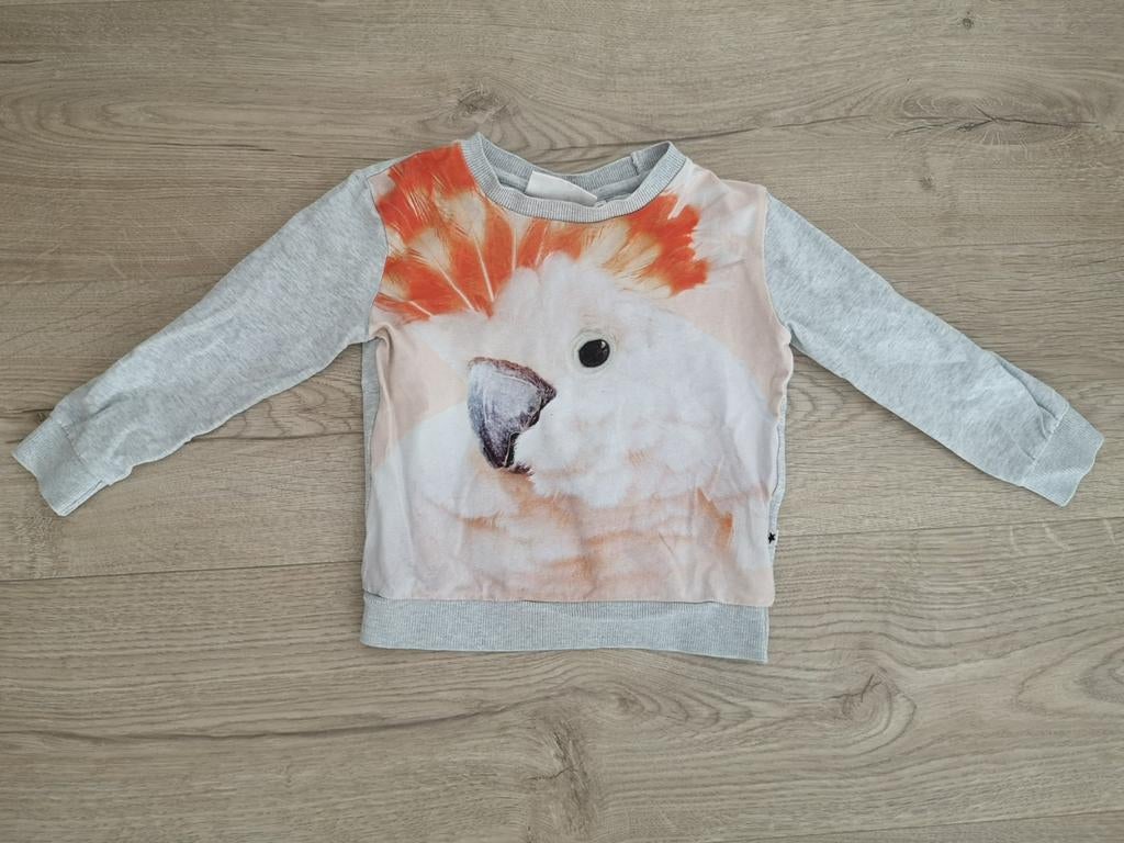 Dunne trui, MOLO, maat 92, goede staat!, Ophalen, Gebruikt