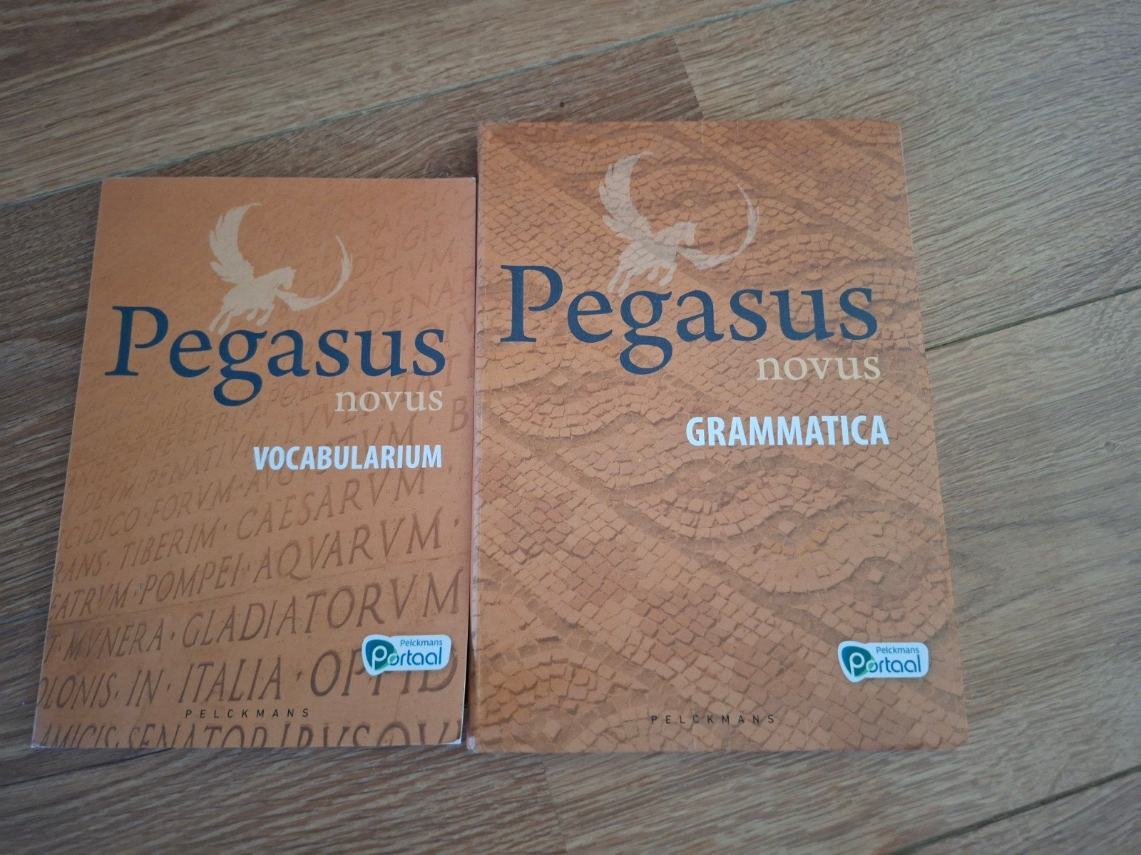 pegagus novus vocabularium en grammatica, Boeken, Ophalen, Zo goed als nieuw, ASO, Latijn