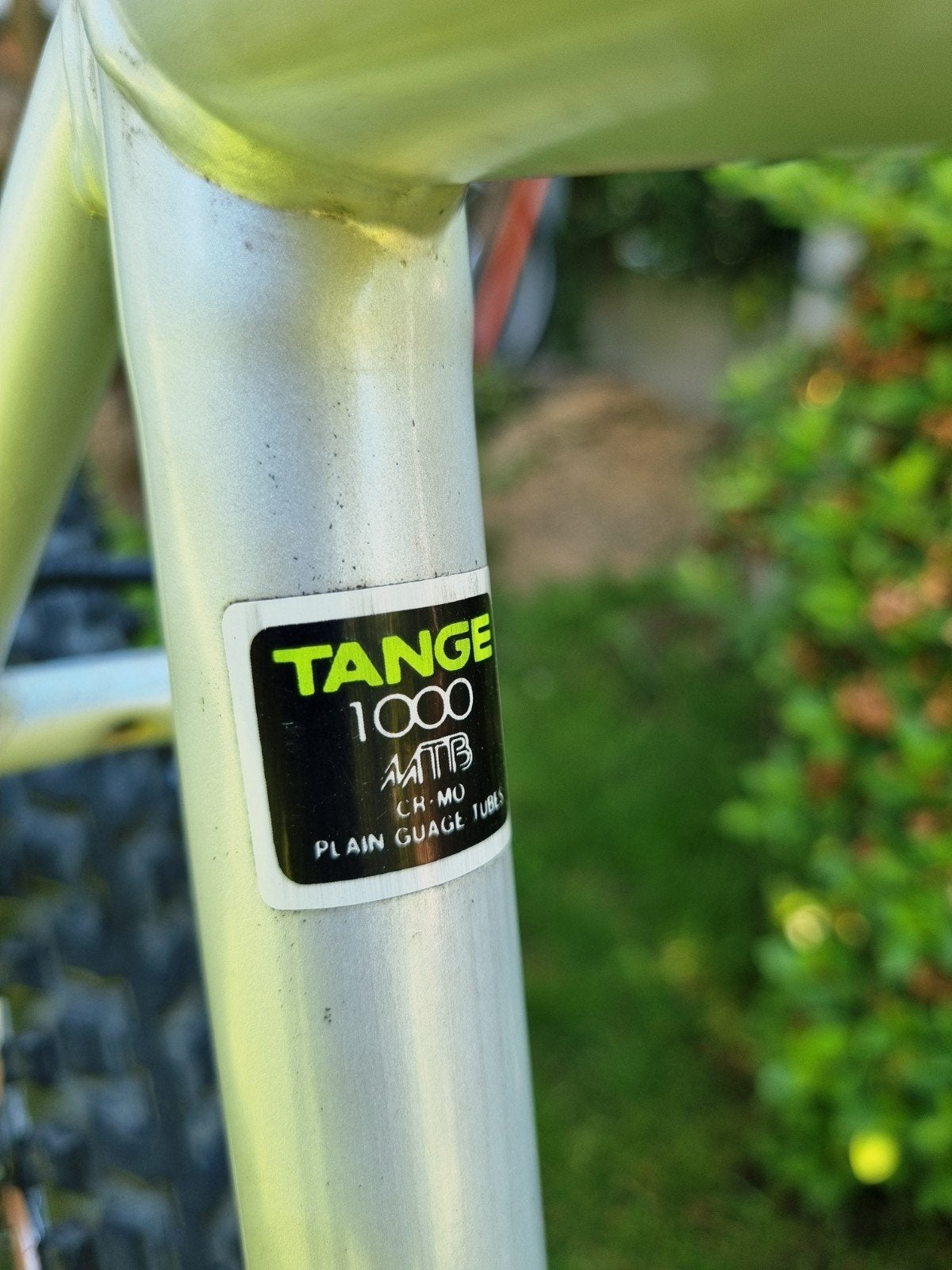 Vélo personnalisé / état NIKEL