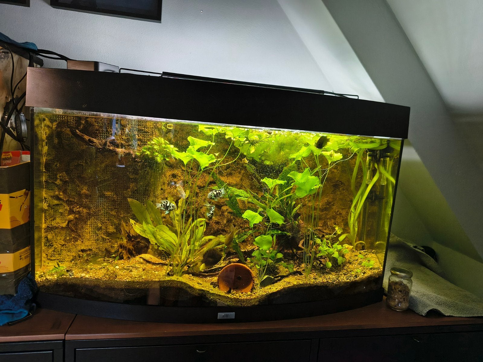 aquarium, Ophalen, Pomp, Gebruikt, Filter