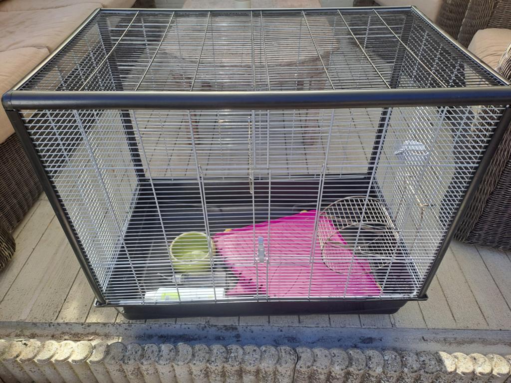 Cage rongeur, Enlèvement, Cage