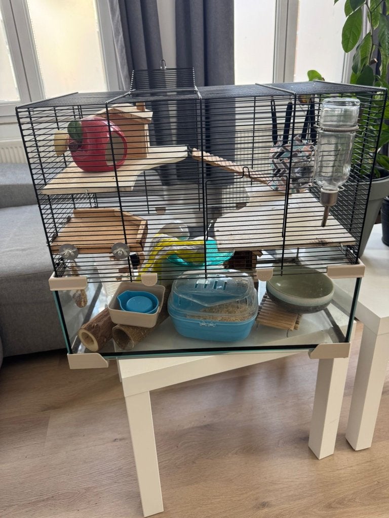 Cage à hamster avec décor et autres, Animaux & Accessoires, Chinchilla, 75 à 110 cm, Cage, Enlèvement
