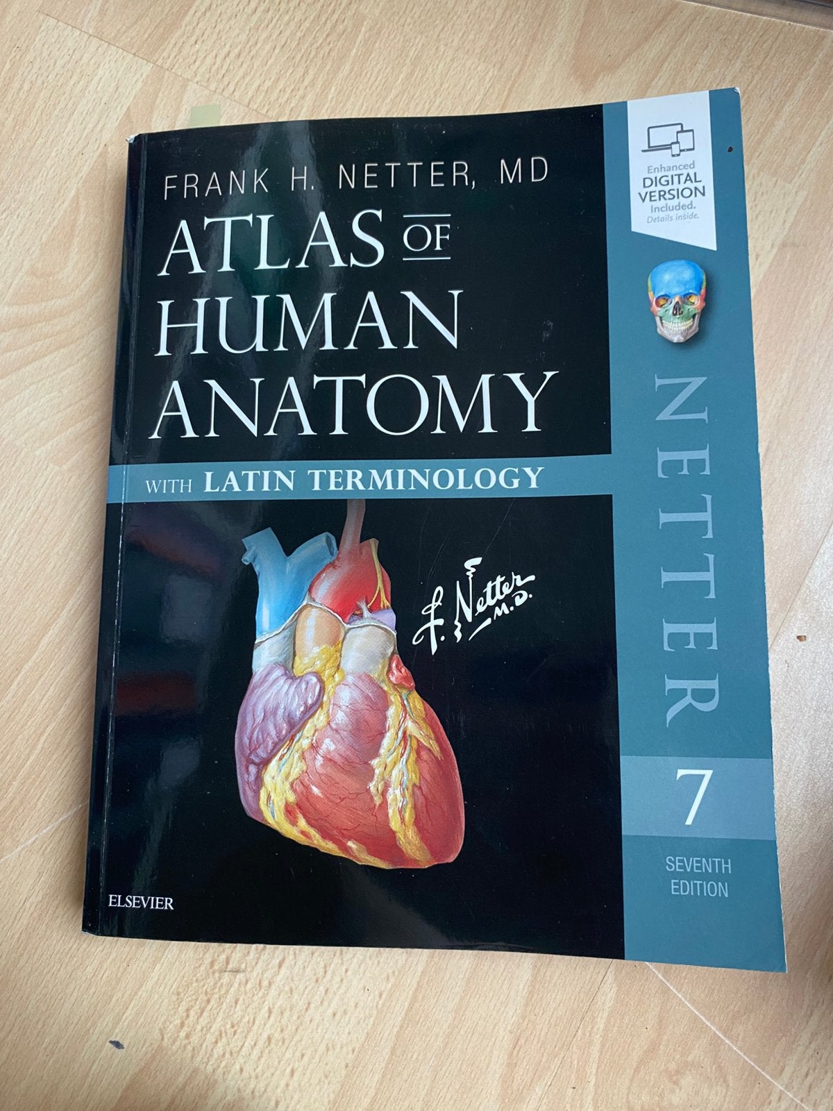 Atlas of Human Anatomy, Frank H. Netter, Boeken, Ophalen of Verzenden, Zo goed als nieuw
