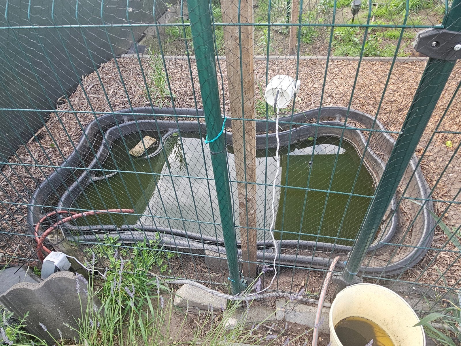 Vijver, Dieren en Toebehoren, Hondenhokken, Ophalen