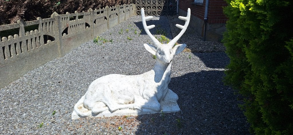 Liggend hert in beton, Tuin en Terras, Ophalen, Gebruikt, Beton, Dierenbeeld