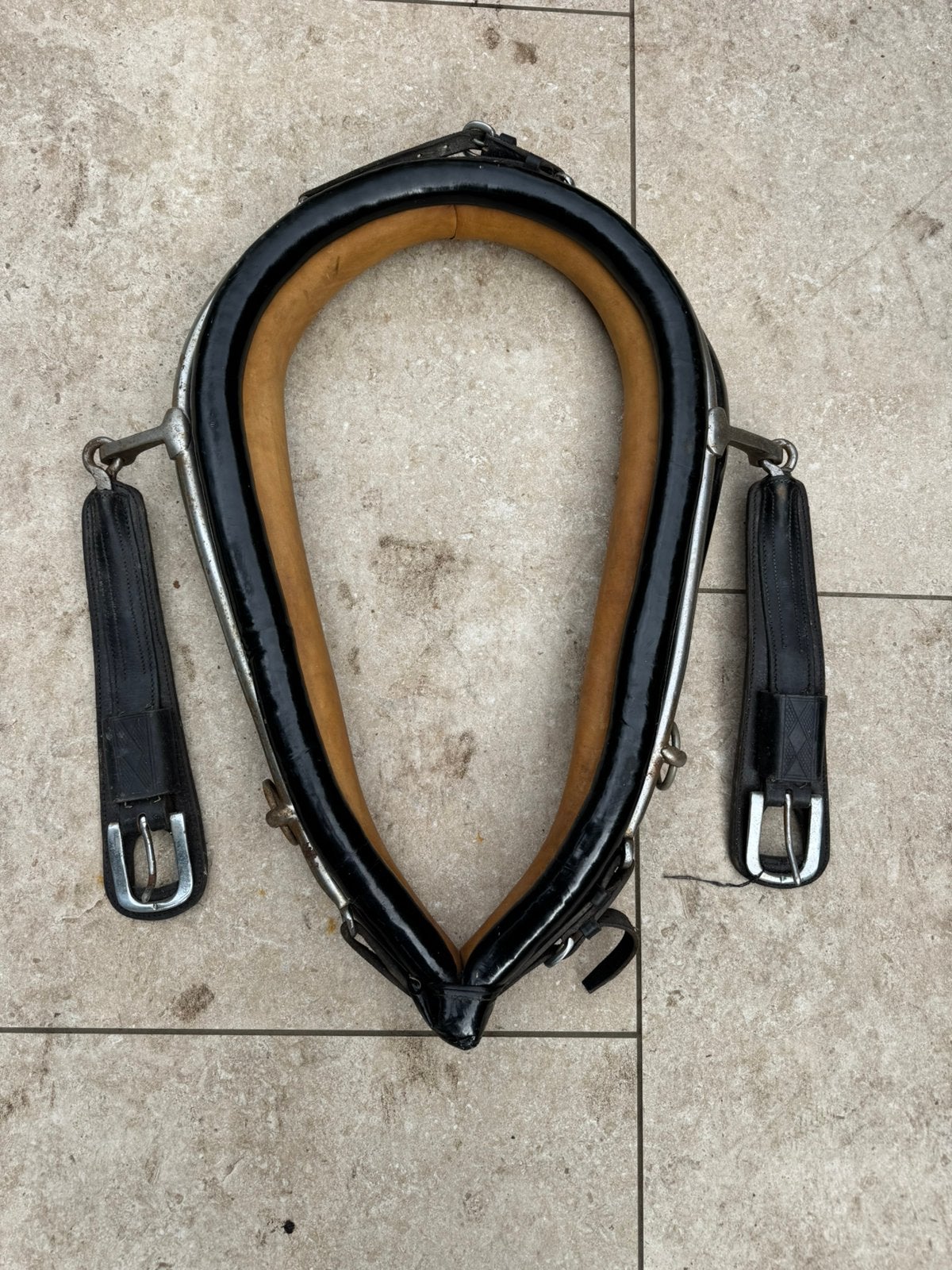 Ponytuig voor een koets te trekken, Dieren en Toebehoren, Ophalen, Shetlander, Anatomisch gevormd, Recreatie