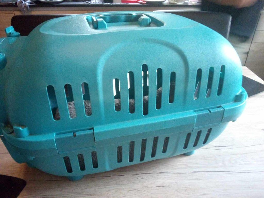 honden of katten transportbox klein model, Enlèvement, Utilisé