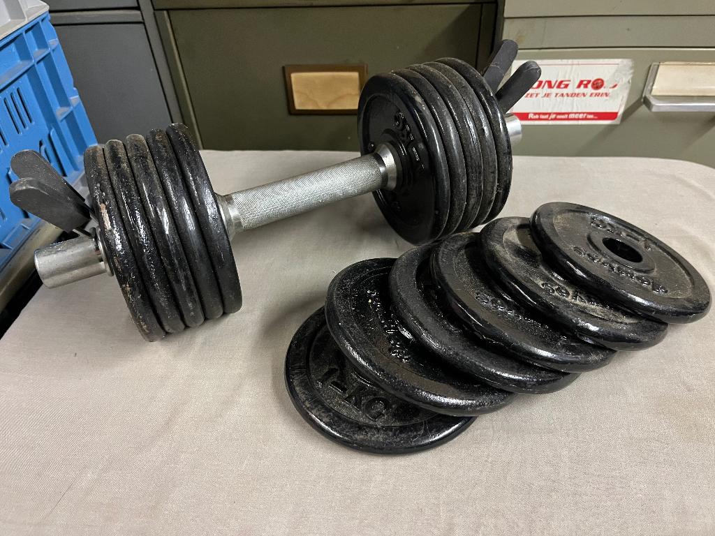 Halter met 16kg gewichten, Sport en Fitness, Ophalen, Gebruikt, Halterset