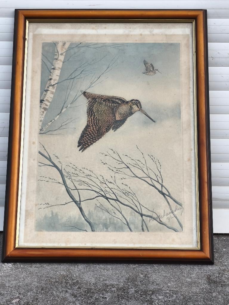 Gravure oiseau signe Léon danchin, Ophalen of Verzenden