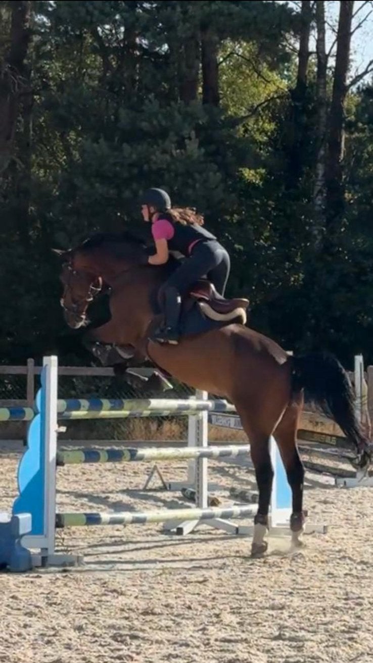 Ruiter aangeboden (paarden / pony’s), Débourré, Cheval de saut