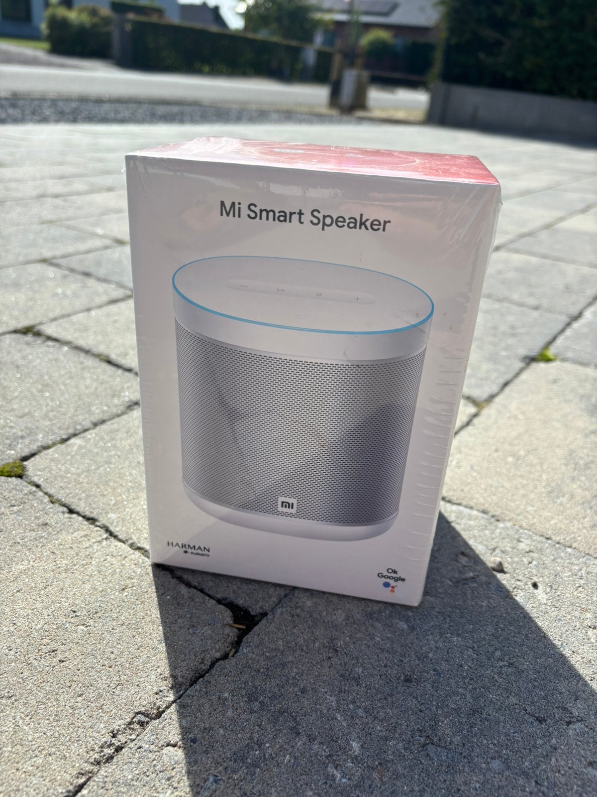 Smart speaker, Neuf, Google, Bluetooth, Enlèvement