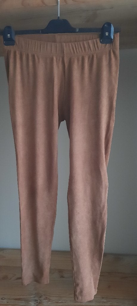 Nieuwe legging True spirit maat L, Bruin, Maat 42/44 (L), Nieuw, Ophalen of Verzenden