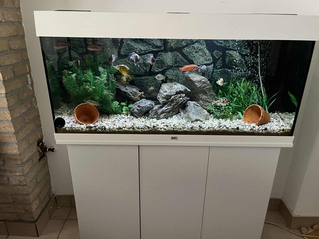 AQUARIUM GEZOCHT, Dieren en Toebehoren, Ophalen, Leeg aquarium, Juwel