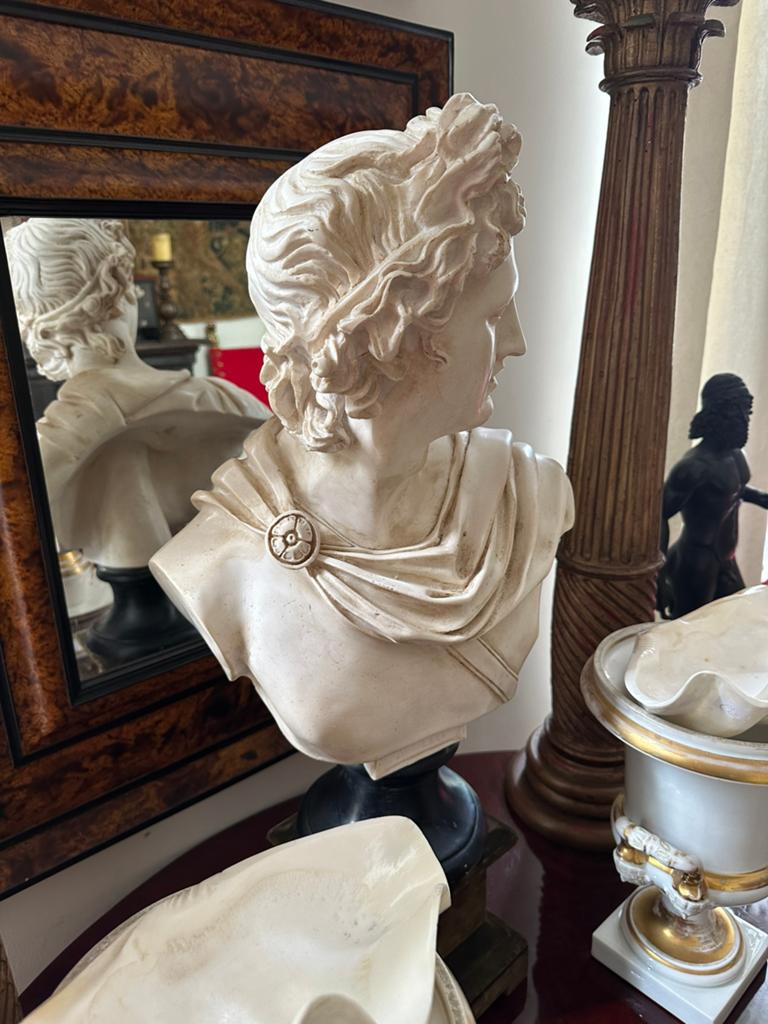 Apollo Belvedere, Ophalen of Verzenden