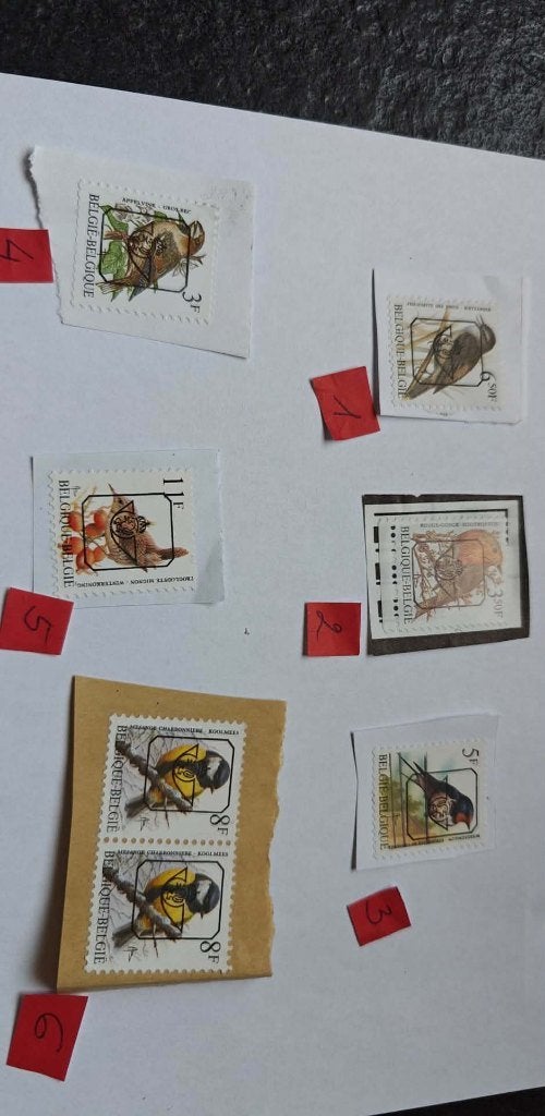 postzegels Belgie vogels 7 stuks bieden 11 juni, Timbres & Monnaies, Timbres | Europe | Belgique, Affranchi, Timbre-poste, Autre