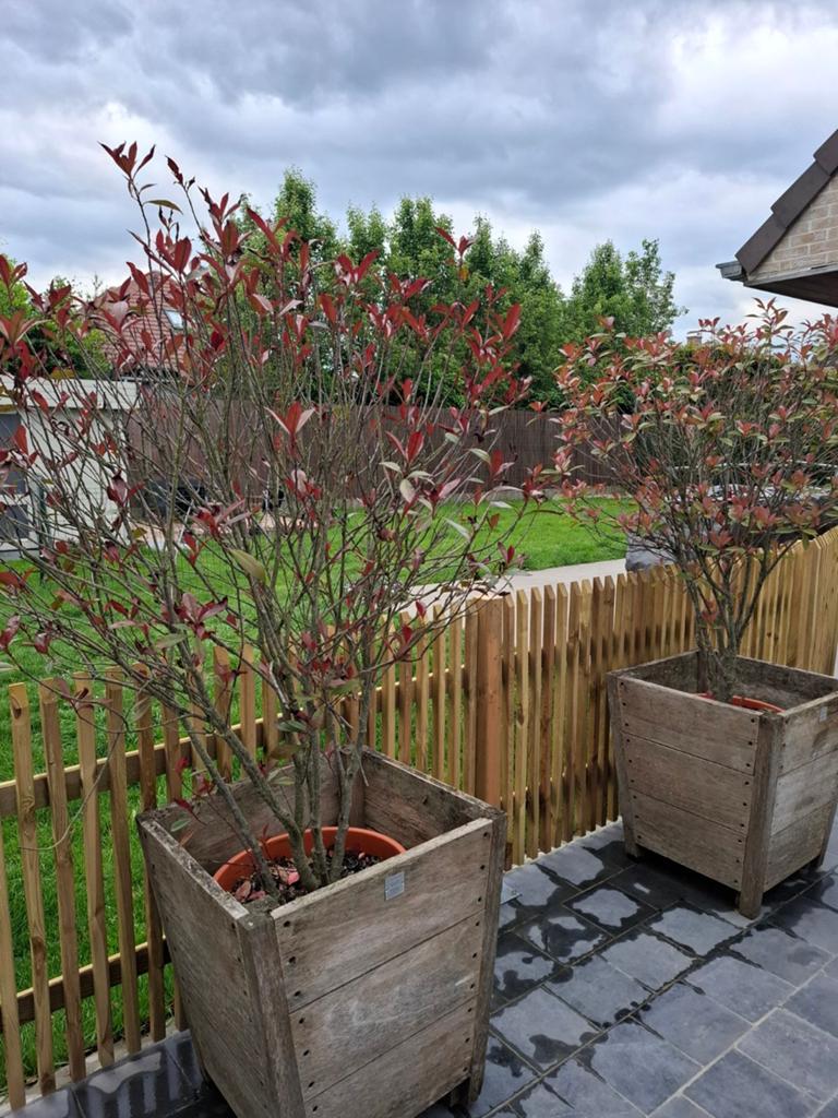 2 mooie grote plantenbakken + struiken, Ophalen