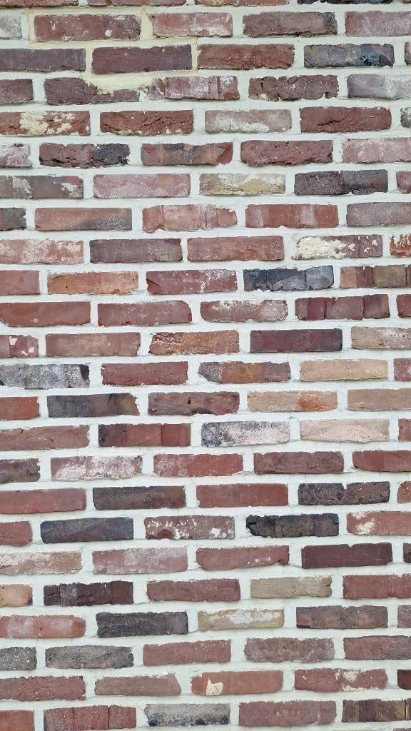 Metselstenen Waalformaat , Paepesteen 24x11x5cm, Doe-het-zelf en Bouw, Metselstenen, Ophalen, Gebruikt, Bakstenen