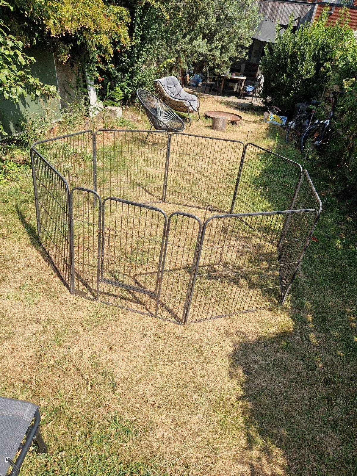 puppy ren, Dieren en Toebehoren, Ophalen, Gebruikt
